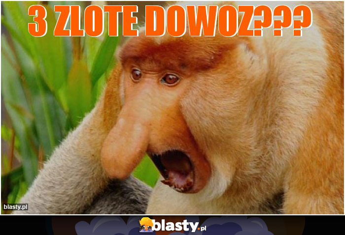 3 ZLOTE DOWOZ???