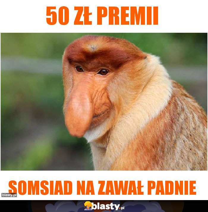 50 zł premii