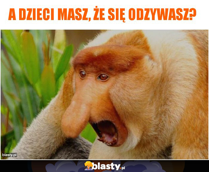 A dzieci masz, że się odzywasz?