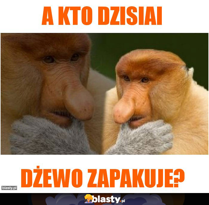 A kto dzisiai