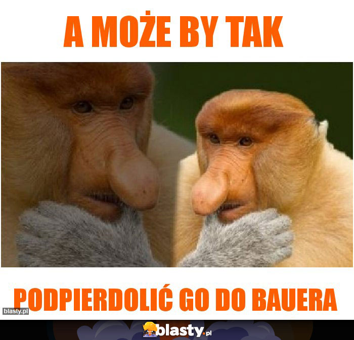 a może by tak