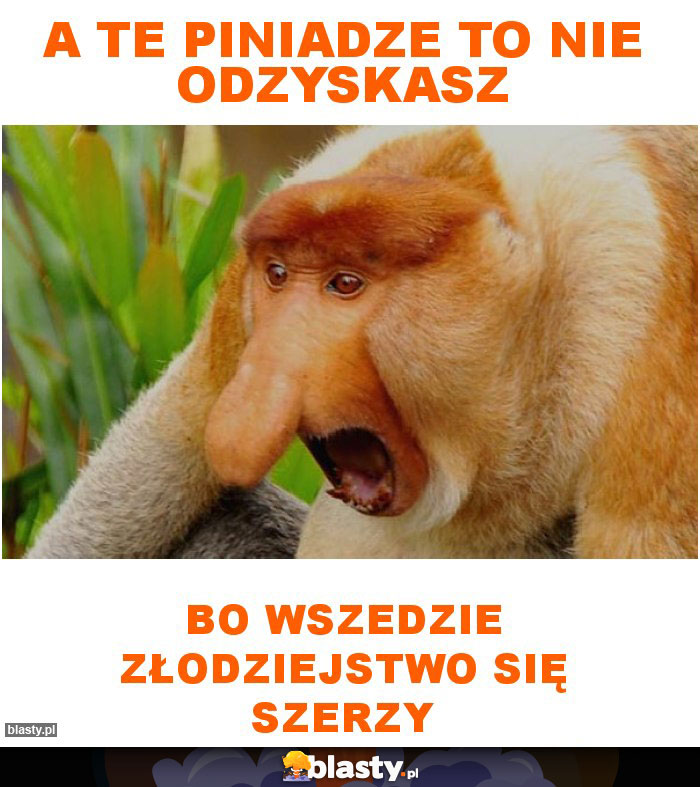 a te piniadze to nie odzyskasz