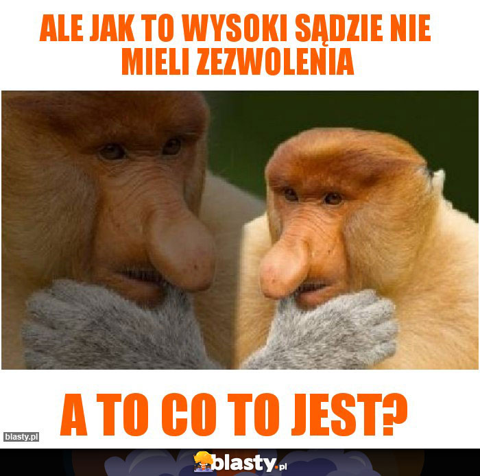 Ale jak to wysoki sądzie nie mieli zezwolenia
