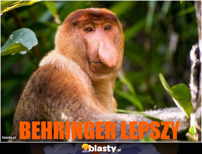 Behringer Lepszy