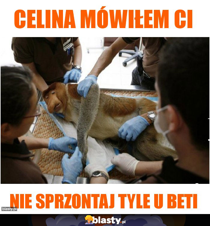 Celina mówiłem Ci
