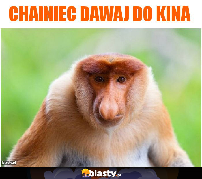Chainiec dawaj do kina