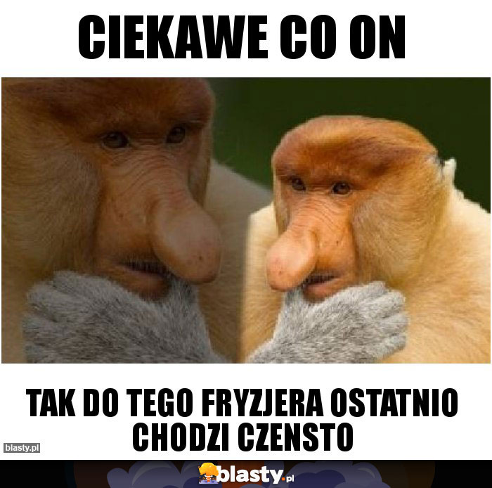 CIekawe co on