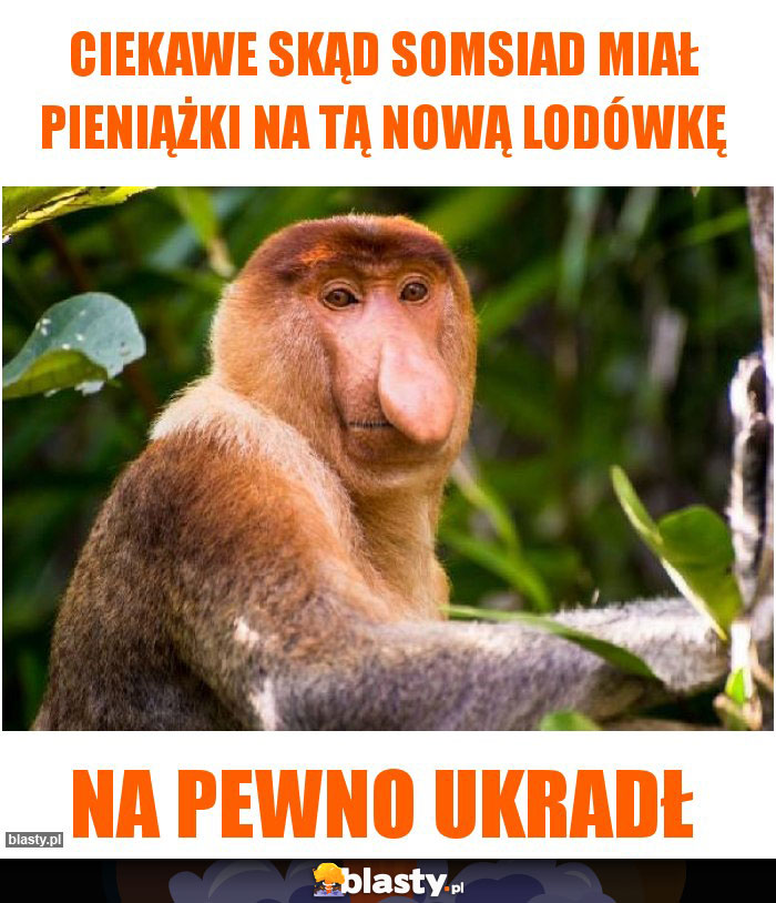 Ciekawe skąd somsiad miał pieniążki na tą nową lodówkę