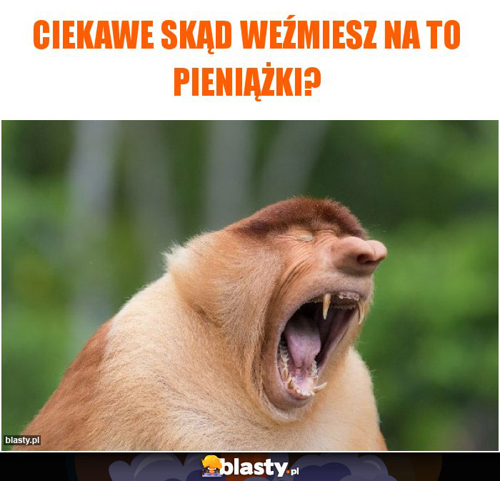 Ciekawe skąd weźmiesz na to pieniążki?