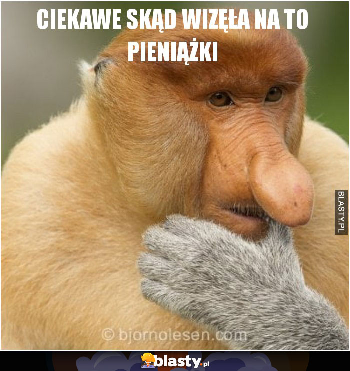 CIEKAWE SKĄD WIZĘŁA NA TO PIENIĄŻKI