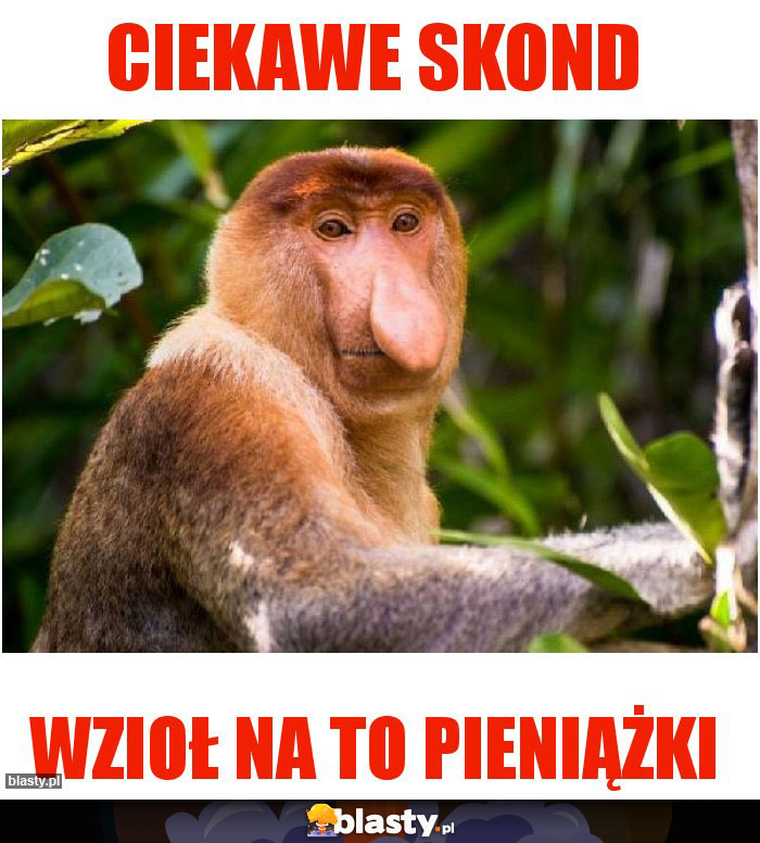 Ciekawe skond
