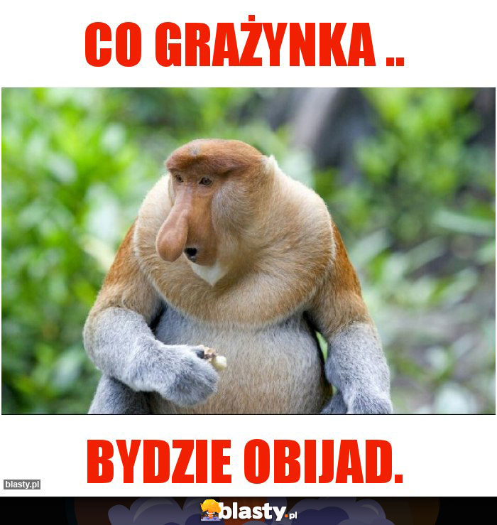 Co Grażynka ..
