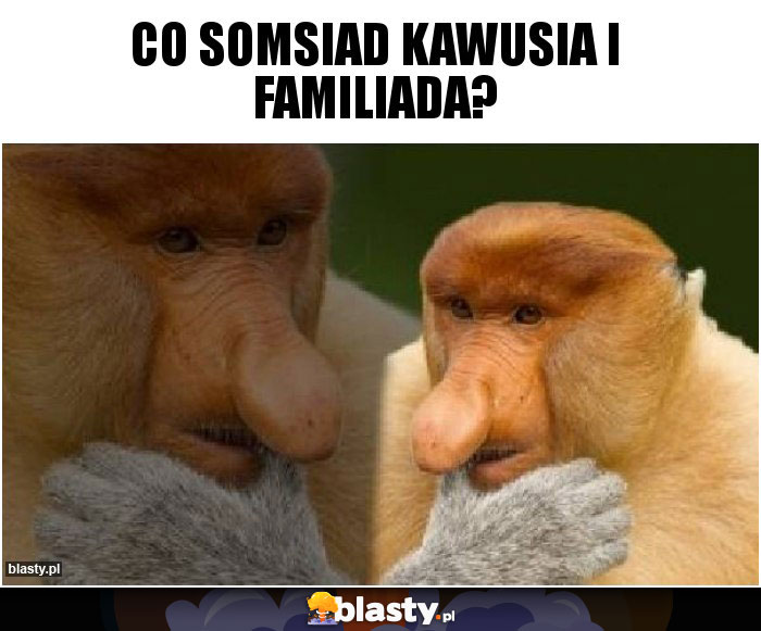 Co somsiad kawusia i familiada?