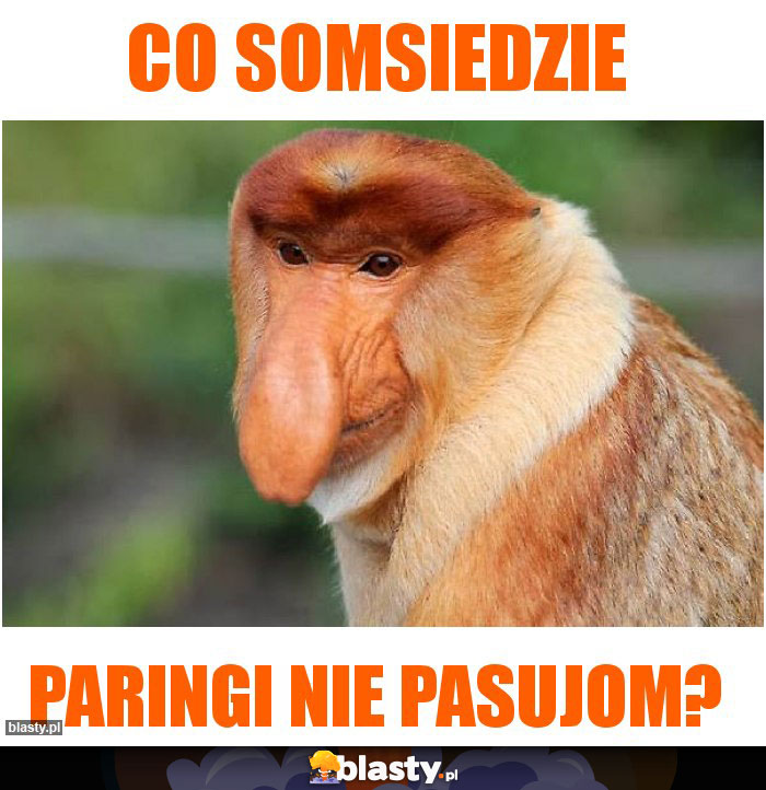 Co somsiedzie