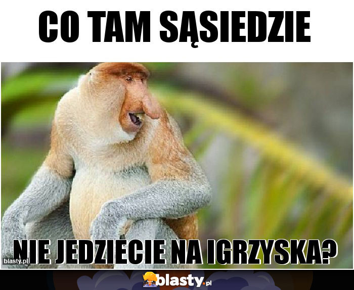 Co tam sąsiedzie