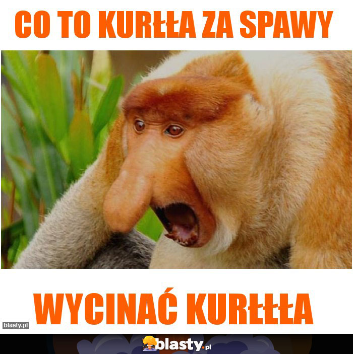 Co to kurłła za spawy