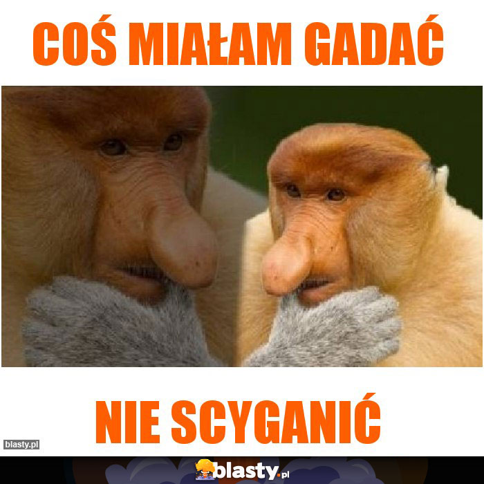 COŚ MIAŁAM GADAĆ