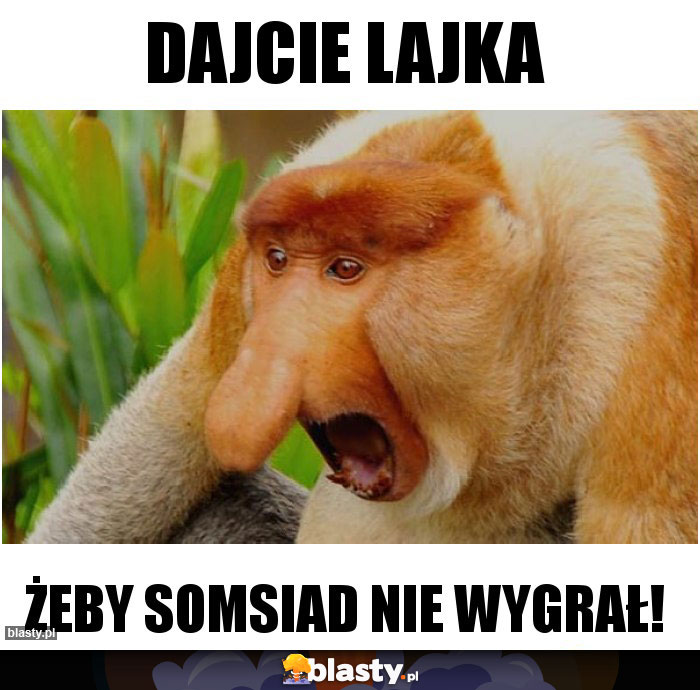 Dajcie lajka