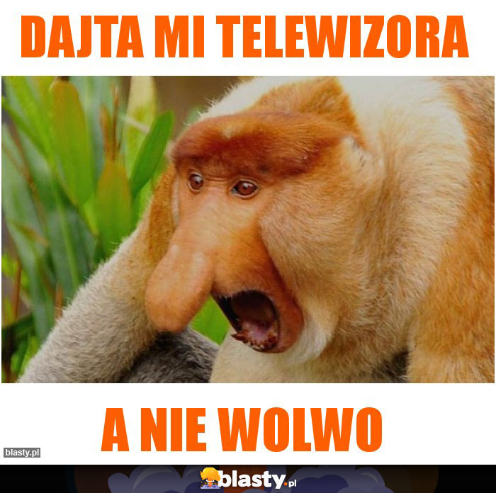Dajta mi telewizora