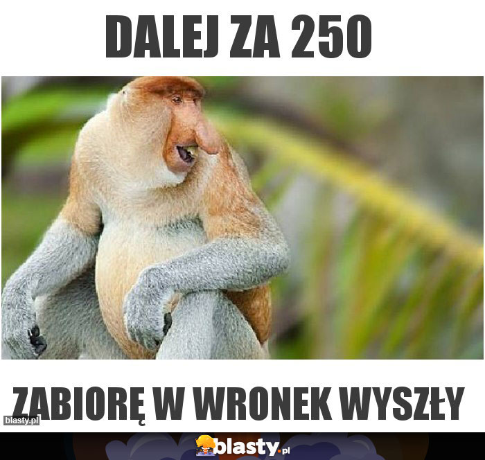 dalej za 250