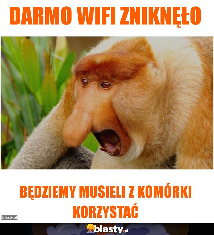 Darmo wifi zniknęło