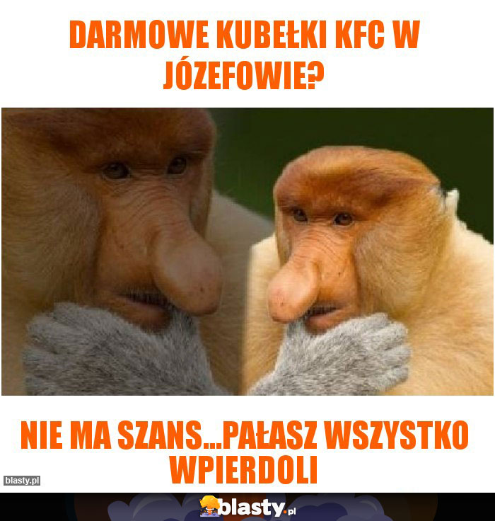 Darmowe kubełki kfc w Józefowie?
