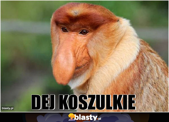Dej koszulkie