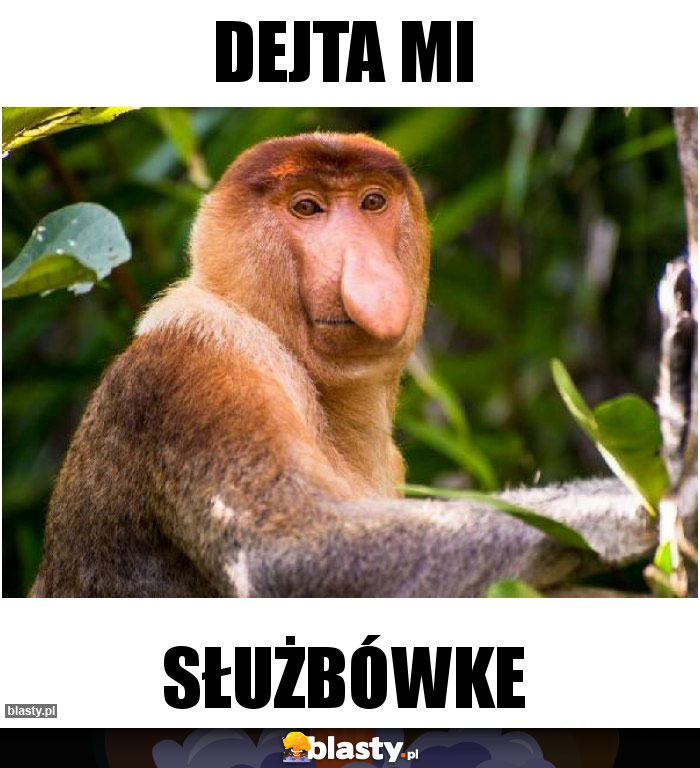 Dejta mi