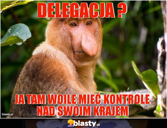 Delegacja ?