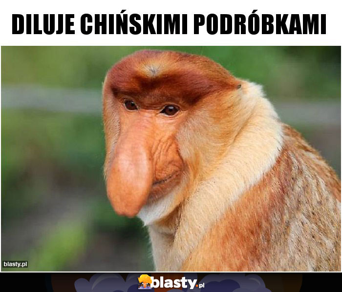 Diluje chińskimi podróbkami