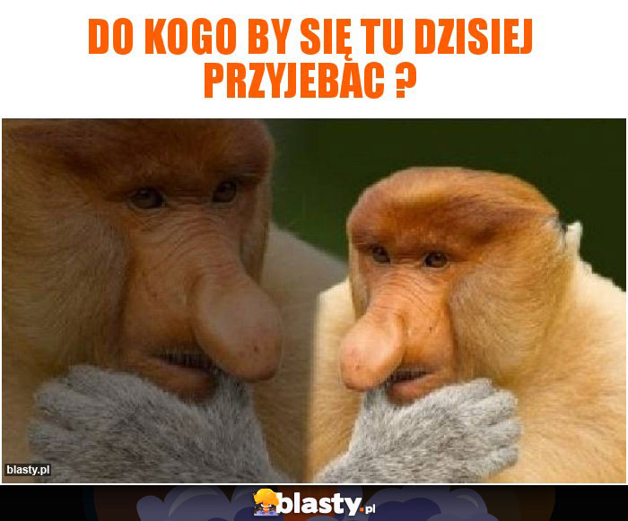 Do kogo by się tu dzisiej przyjebac ?