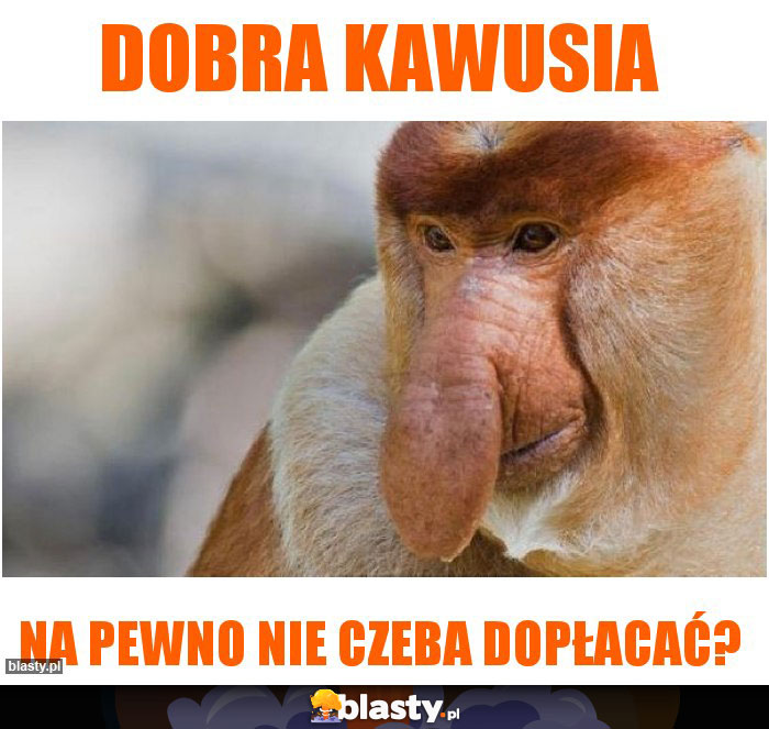 Dobra kawusia