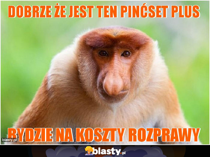 Dobrze że jest ten pinćset plus