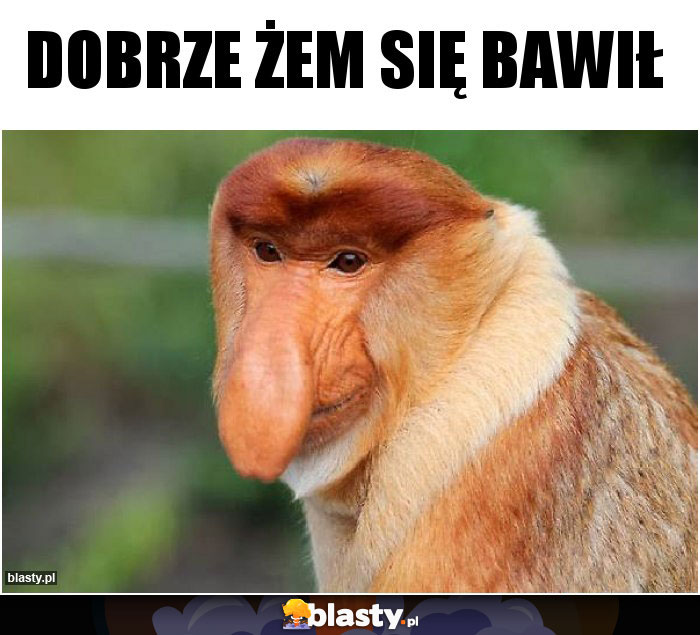 DOBRZE ŻEM SIĘ BAWIŁ