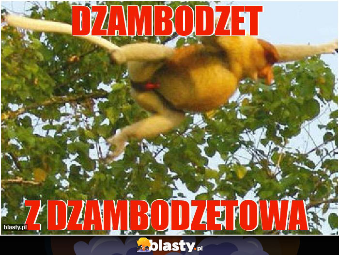 Dzambodzet