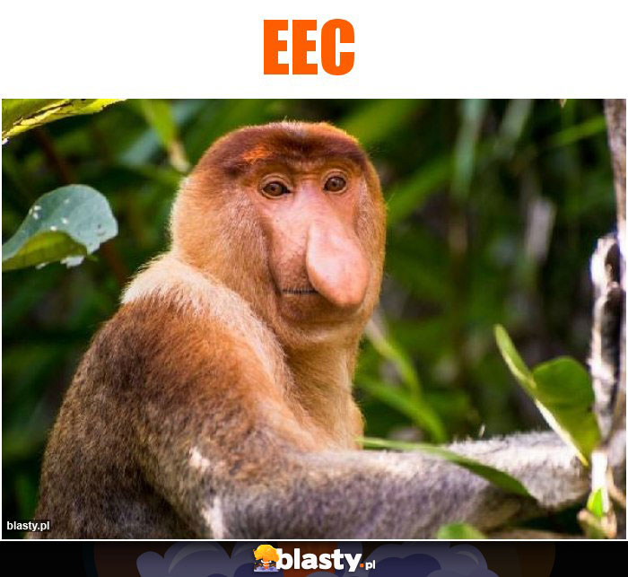 Eec