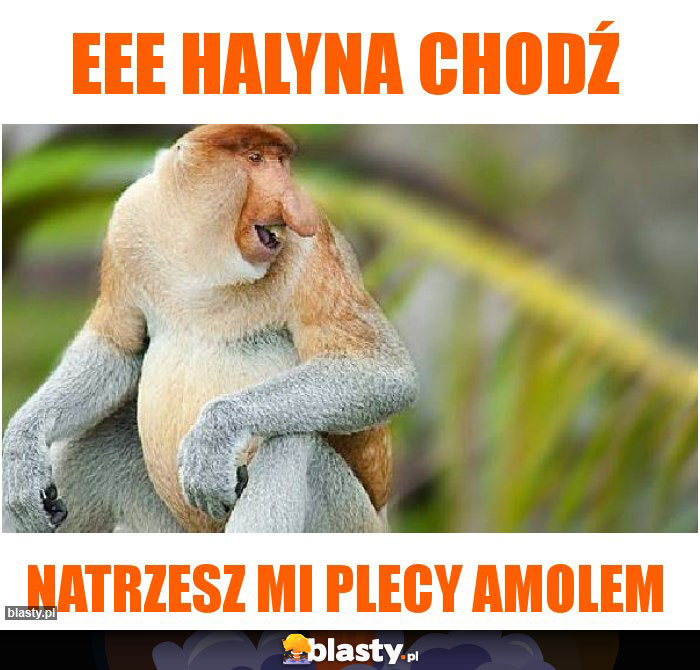 Eee Halyna chodź
