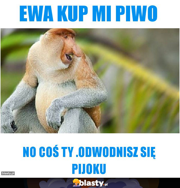Ewa kup mi piwo