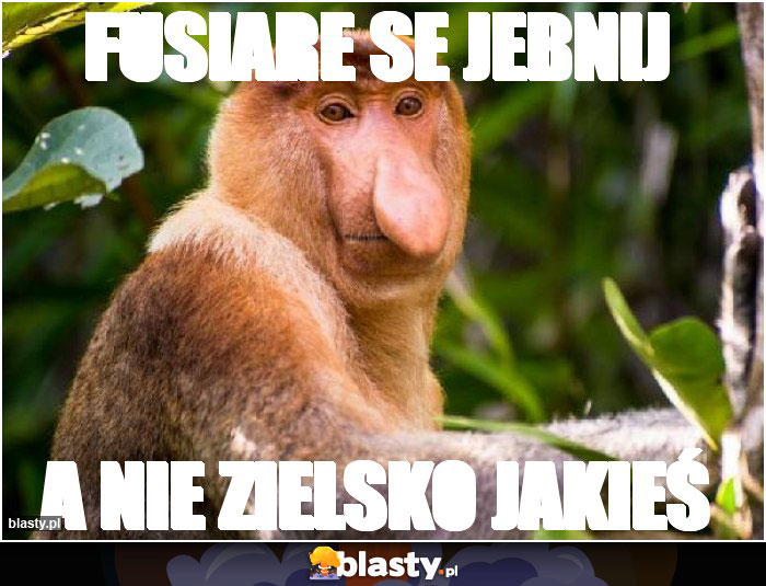 Fusiare se jebnij