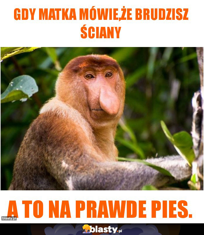 Gdy Matka mówie,że brudzisz ściany