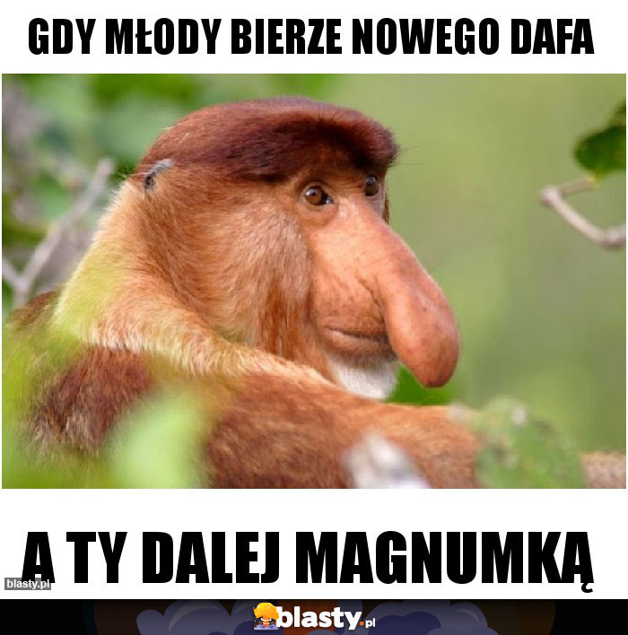 Gdy młody bierze nowego dafa