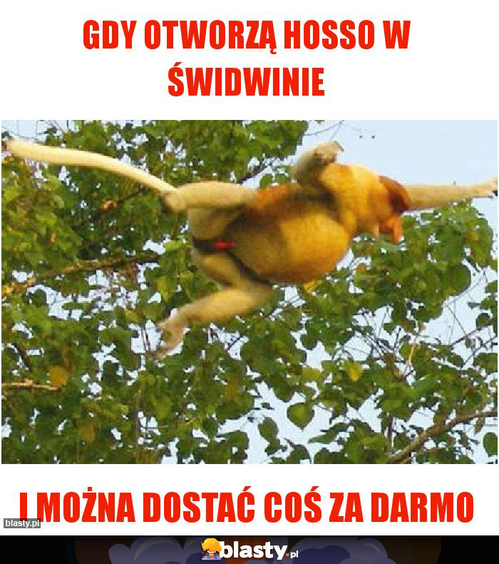 Gdy otworzą Hosso w Świdwinie