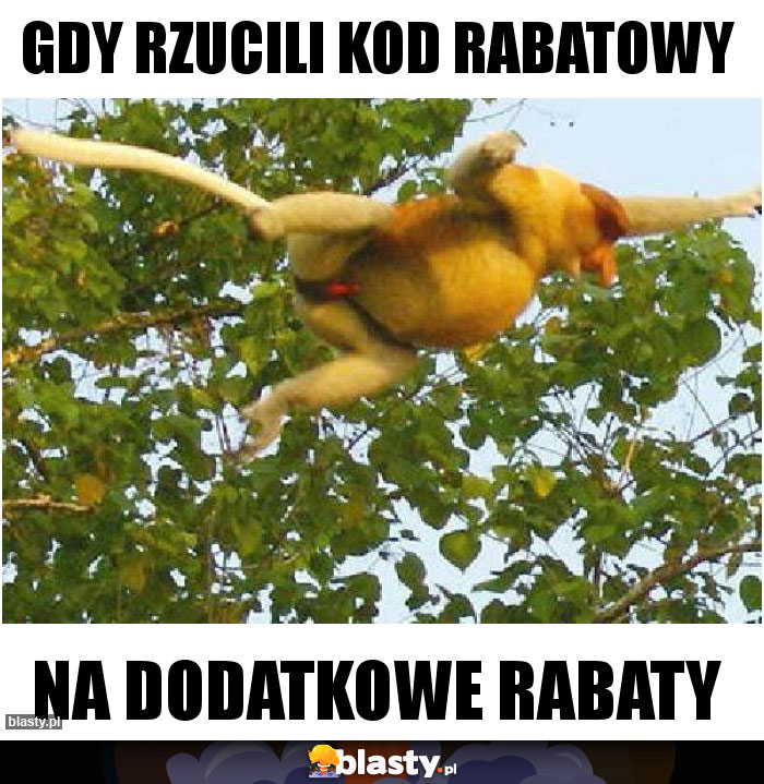Gdy rzucili kod rabatowy