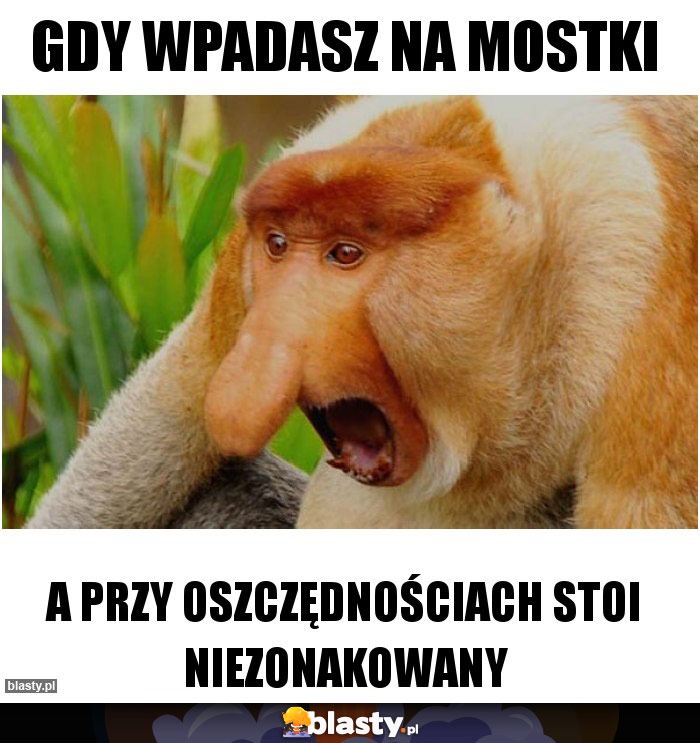 Gdy Wpadasz na mostki
