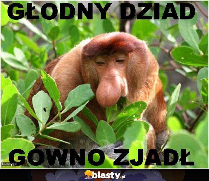 GŁODNY DZIAD