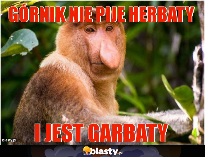 Górnik nie pije herbaty