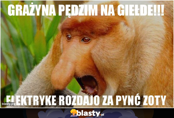 GRAŻYNA PĘDZIM NA GIEŁDE!!!