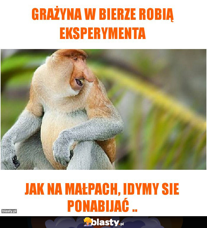 Grażyna w bierze robią eksperymenta