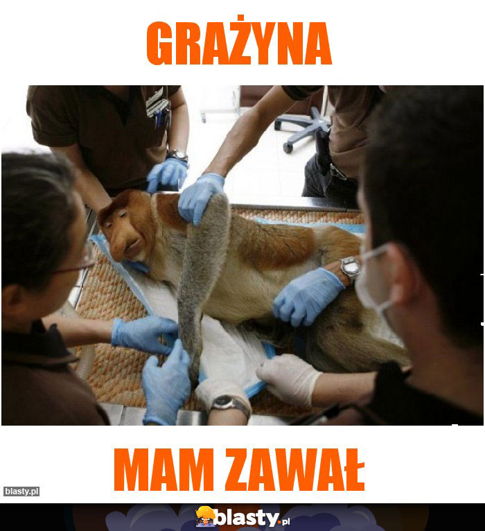 GRAŻYNA
