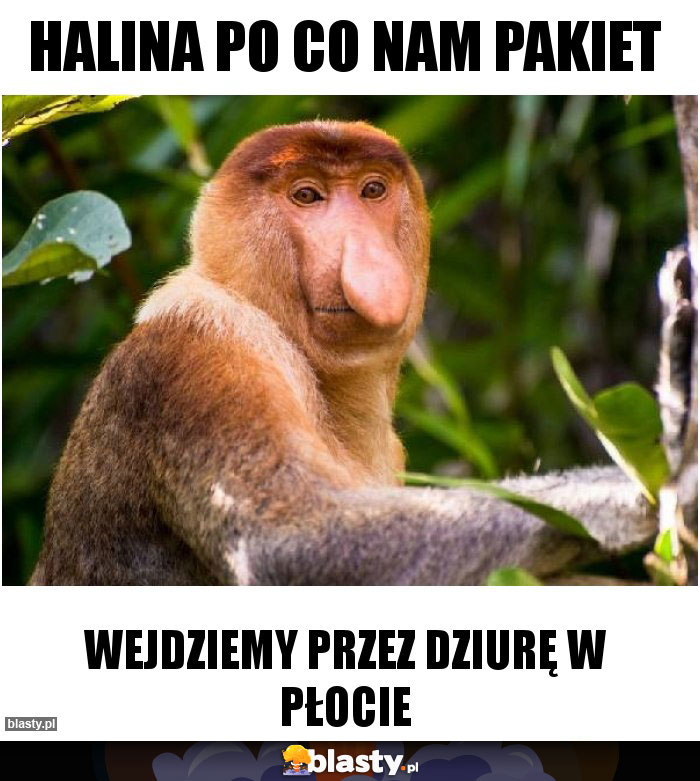 Halina po co nam pakiet